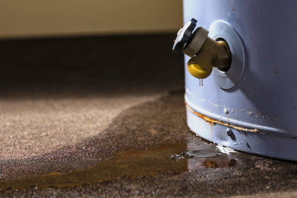 Best Professional water damage repair  in Ontario, CA