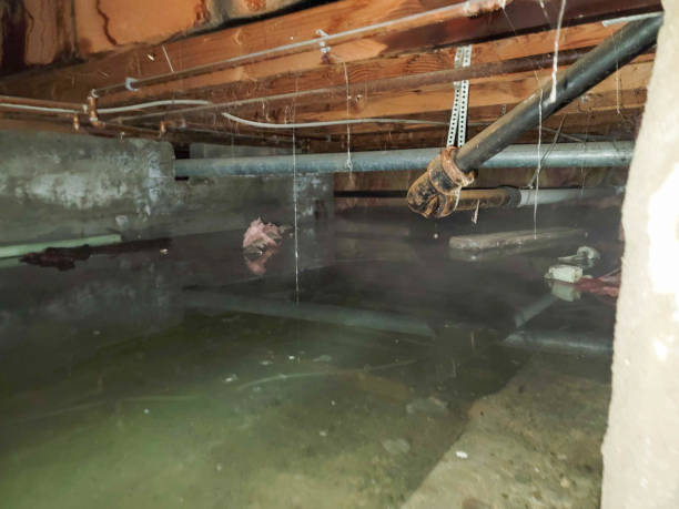 Best Flood damage cleanup  in Ontario, CA