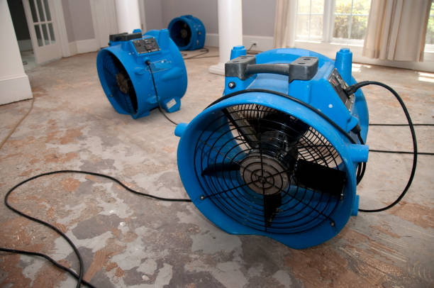  Ontario, CA Water damage restoration Pros