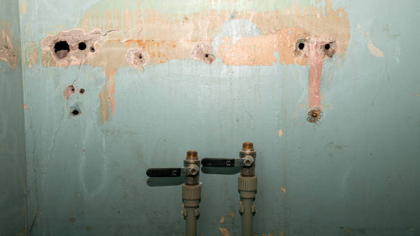 Best Water damage contractors near me  in Ontario, CA