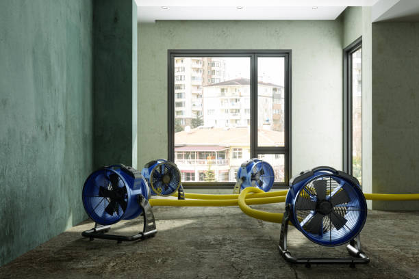Best Sewage cleanup and water damage restoration  in Ontario, CA